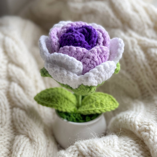 blooming tea rose crochet